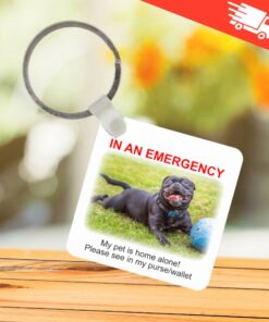 In case of emergency pet at home alone keyring