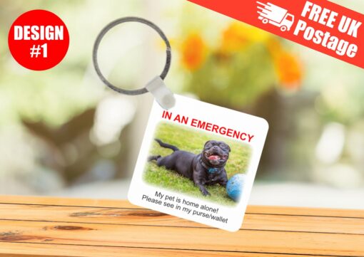 In case of emergency pet at home alone keyring
