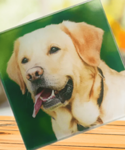 Coasters