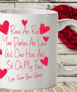 Rude Funny Valentines Day Mug