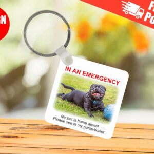 Emergency Pet Keyring card, pet at home alone, pet information, accident pet card, in case of emergency, dog home alone, cat home alone