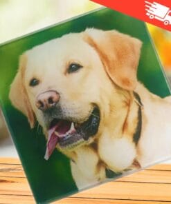 Glass square personalised coaster - Photo of family mum dad nan grandad dog cat pet memorial. Gift for christmas valentines or birthday